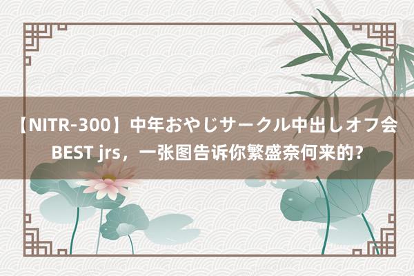 【NITR-300】中年おやじサークル中出しオフ会 BEST jrs，一张图告诉你繁盛奈何来的？