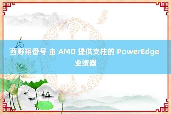 西野翔番号 由 AMD 提供支柱的 PowerEdge 业绩器