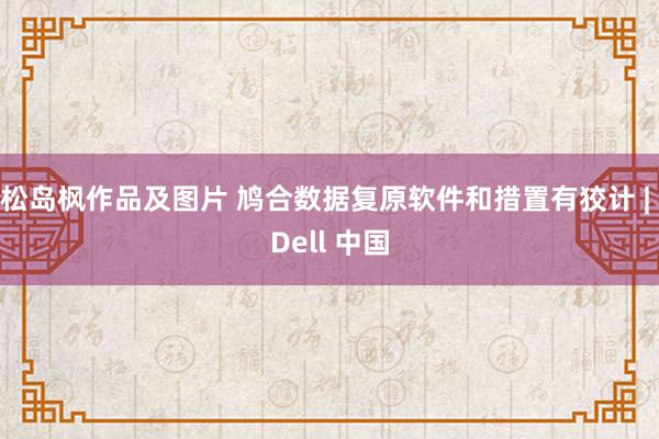 松岛枫作品及图片 鸠合数据复原软件和措置有狡计 | Dell 中国