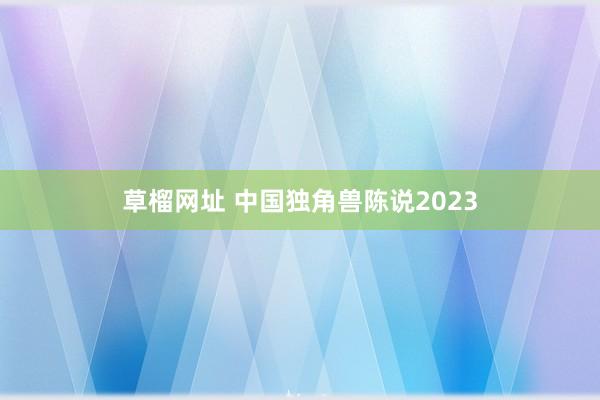 草榴网址 中国独角兽陈说2023