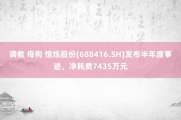 调教 母狗 恒烁股份(688416.SH)发布半年度事迹，净耗费7435万元