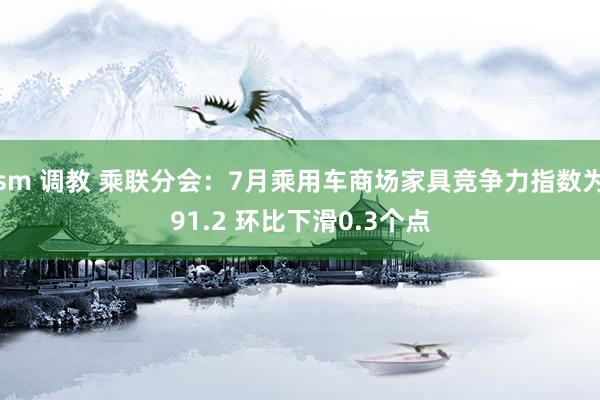 sm 调教 乘联分会：7月乘用车商场家具竞争力指数为91.2 环比下滑0.3个点