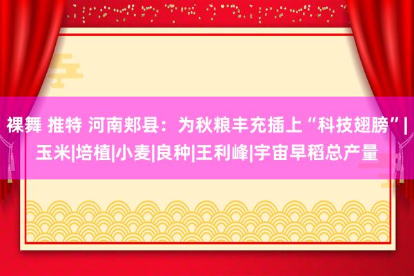 裸舞 推特 河南郏县：为秋粮丰充插上“科技翅膀”|玉米|培植|小麦|良种|王利峰|宇宙早稻总产量