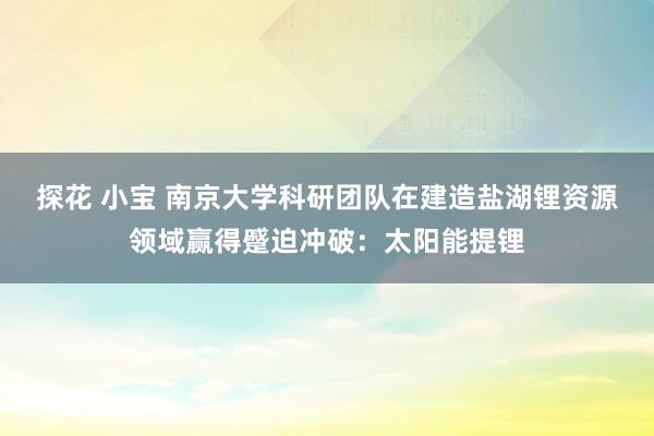 探花 小宝 南京大学科研团队在建造盐湖锂资源领域赢得蹙迫冲破：太阳能提锂