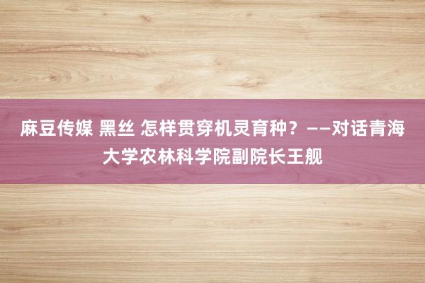 麻豆传媒 黑丝 怎样贯穿机灵育种？——对话青海大学农林科学院副院长王舰