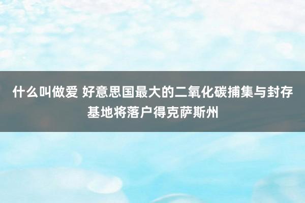 什么叫做爱 好意思国最大的二氧化碳捕集与封存基地将落户得克萨斯州