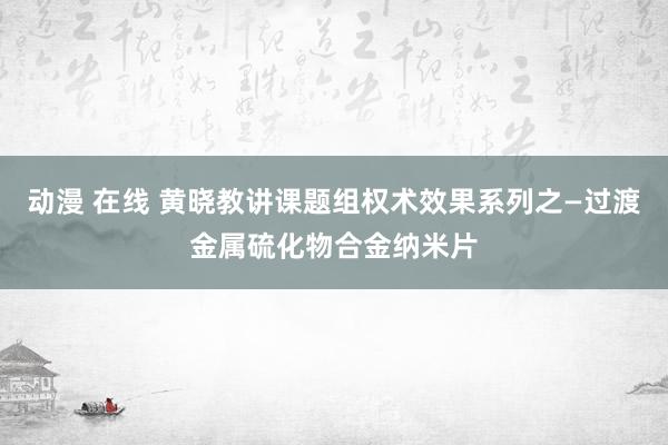 动漫 在线 黄晓教讲课题组权术效果系列之—过渡金属硫化物合金纳米片