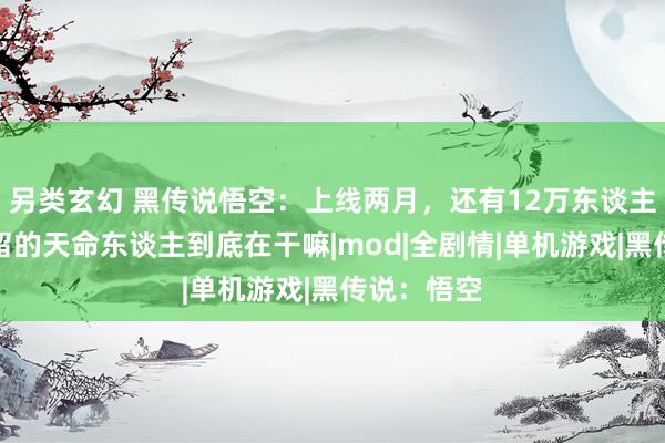 另类玄幻 黑传说悟空：上线两月，还有12万东谈主在线，淹留的天命东谈主到底在干嘛|mod|全剧情|单机游戏|黑传说：悟空