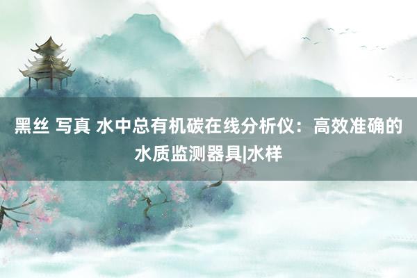 黑丝 写真 水中总有机碳在线分析仪：高效准确的水质监测器具|水样