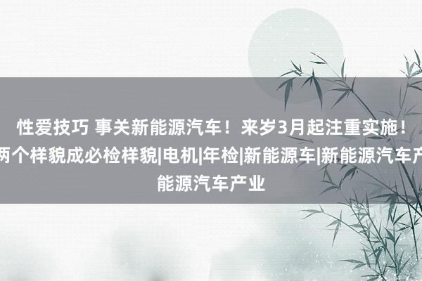 性爱技巧 事关新能源汽车！来岁3月起注重实施！这两个样貌成必检样貌|电机|年检|新能源车|新能源汽车产业