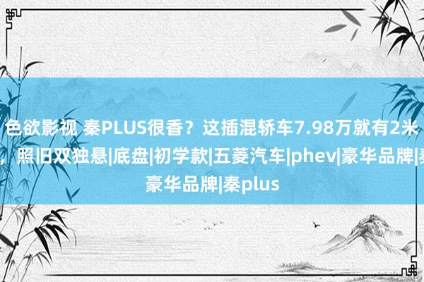 色欲影视 秦PLUS很香？这插混轿车7.98万就有2米8轴距，照旧双独悬|底盘|初学款|五菱汽车|phev|豪华品牌|秦plus