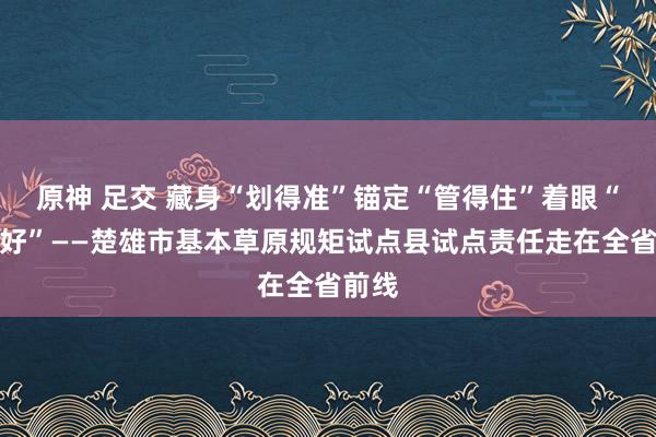 原神 足交 藏身“划得准”锚定“管得住”着眼“用得好”——楚雄市基本草原规矩试点县试点责任走在全省前线