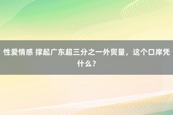 性爱情感 撑起广东超三分之一外贸量，这个口岸凭什么？